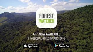 Forest Watcher App Helps Rangers Detect Illegal Logging screenshot 3