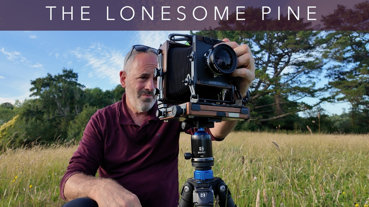 The Lonesome Pine | 4x5 Large Format Photography.