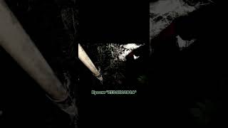 Проект "ЛЕСОПОЛОСА" #проектлесополоса #лесополоса #впоискахсокровищнации
