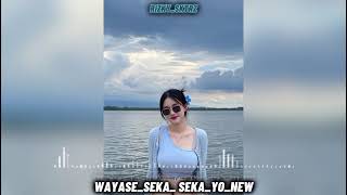 Wayase Seka Seka Yo New