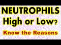 Neutrophils Count High Or Low Know The Reasons Neutrophils Count High Or Low Know The Reasons