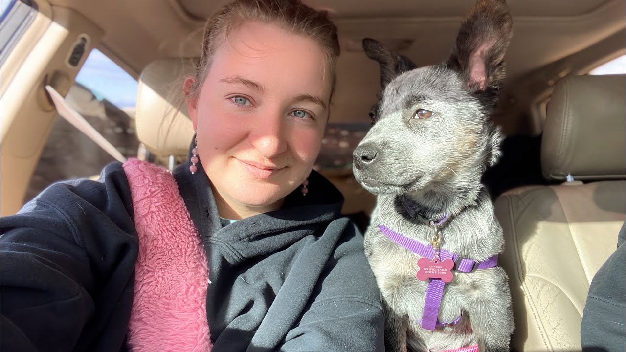 DRIVE & TALK 💬 an honest chronic illness chat ₊˚⊹♡