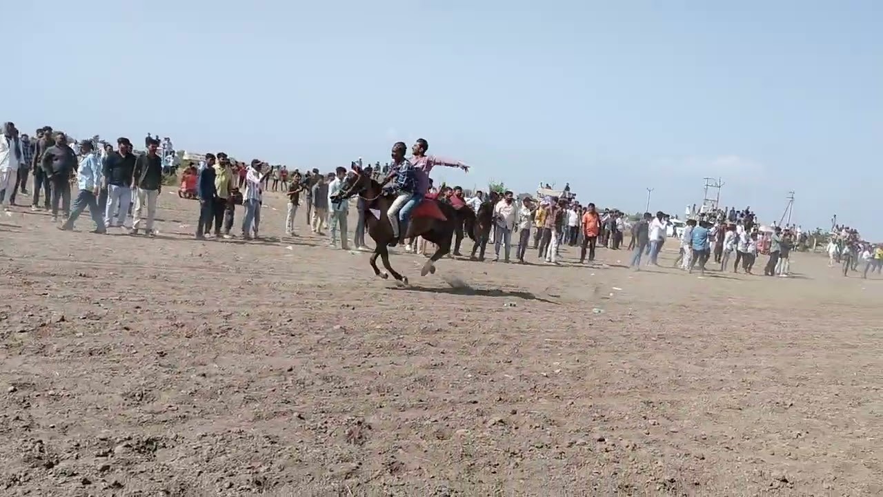 GARO LEVO HORSE RACE                                    