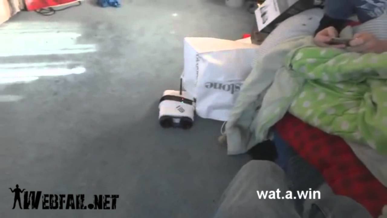Bild från Katt rymmer WIN!