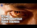 4 темпераментных знака зодиака