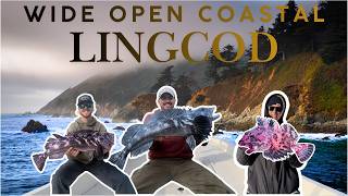Nonstop GIANT Lingcod Action in NorCal