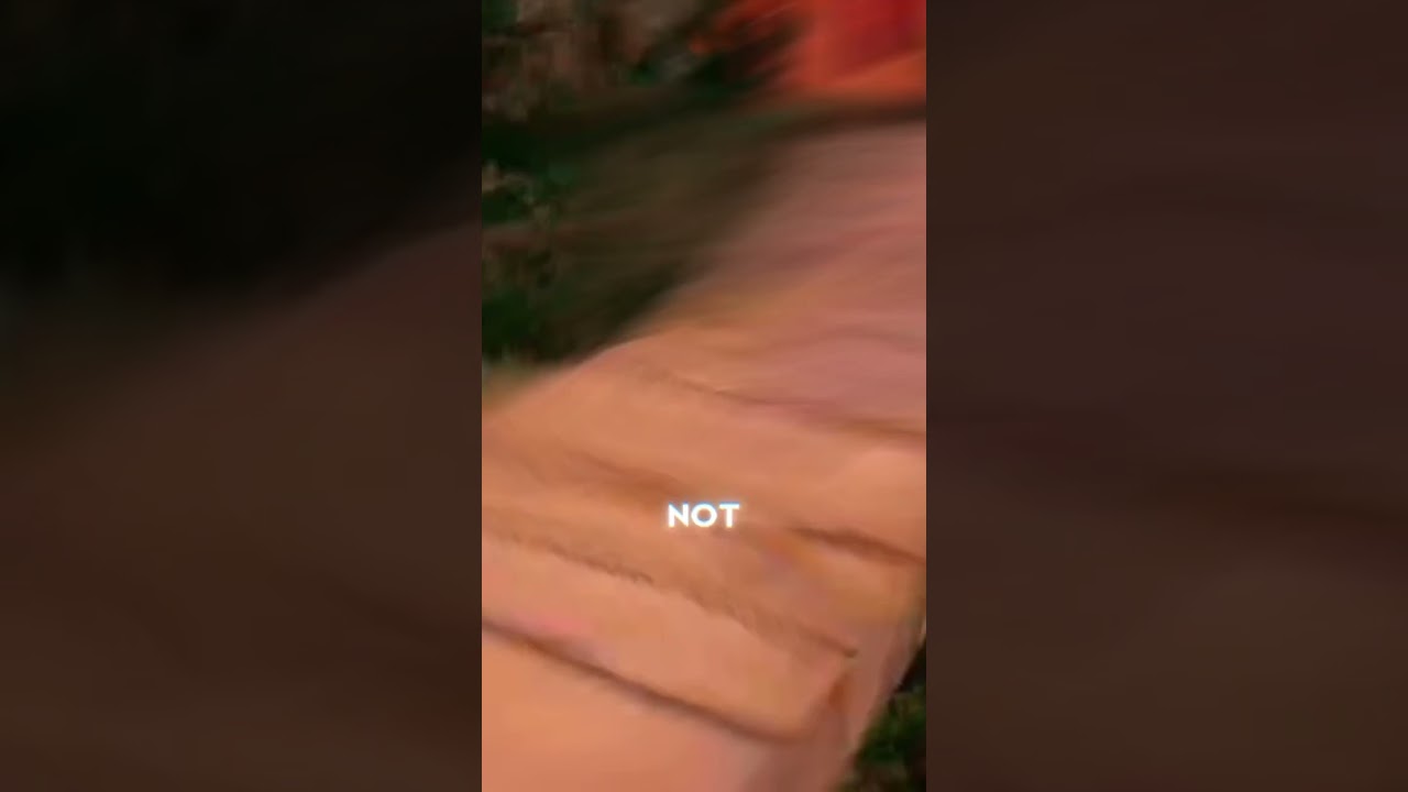 twede video van het kanaal