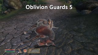 Oblivion Guards 5