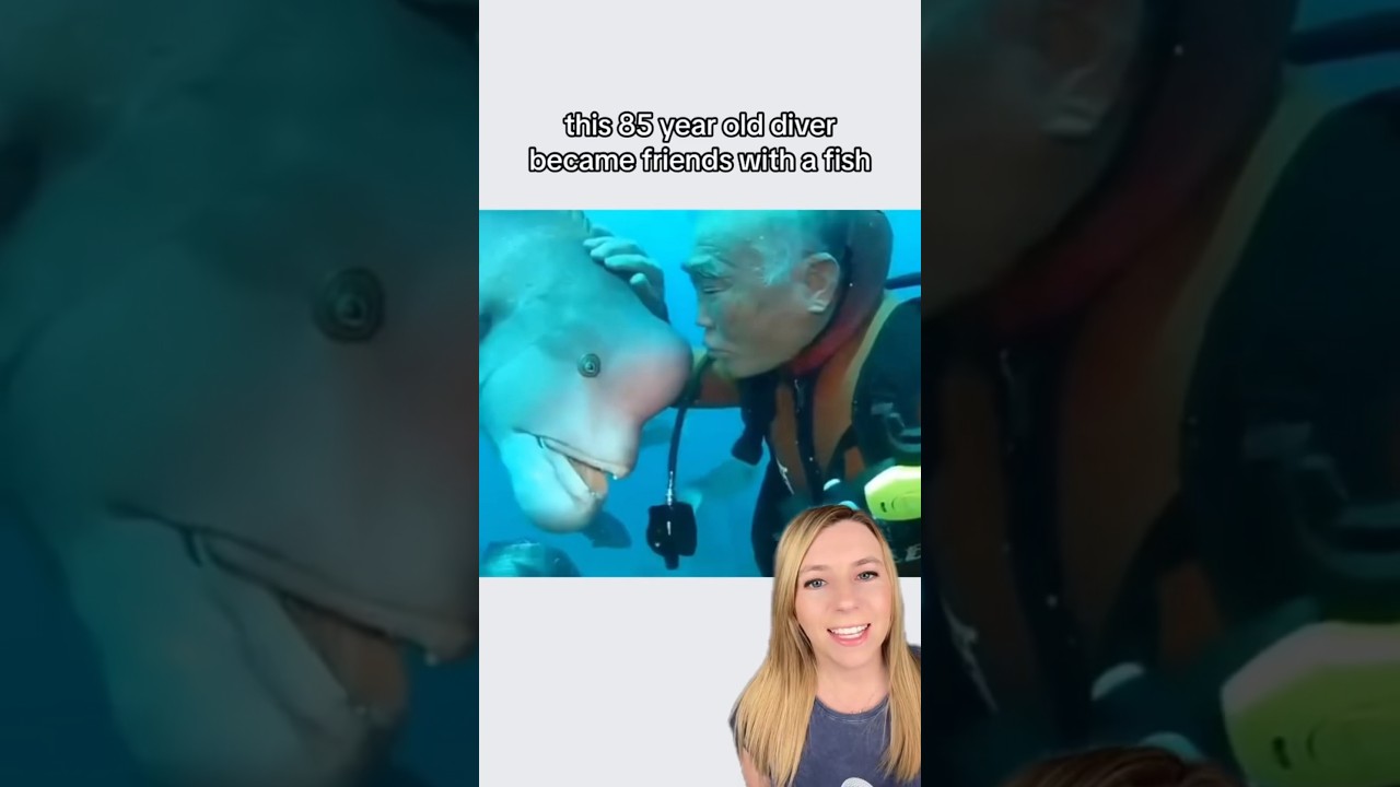 Дайвер дружит с рыбой уже несколько десятилетий и навещает её почти каждый день 🐟 