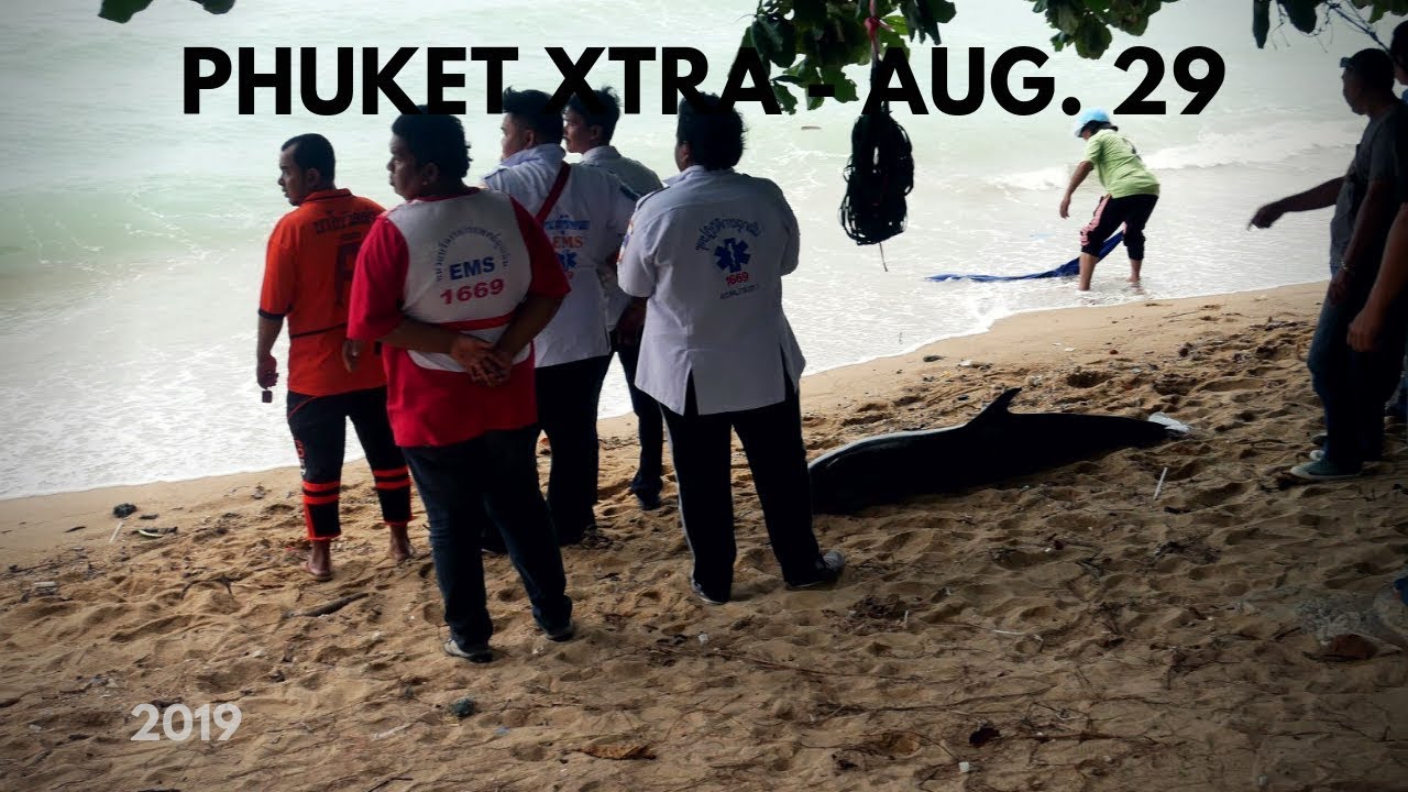Corpse Still Holding Phone Koh Tao Death Sentence Upheld Dolphin Washes Ashore Phuket 