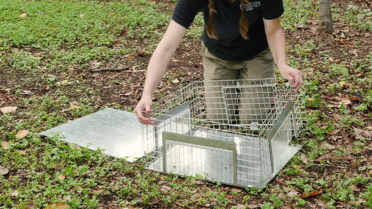 The TOADINATOR Cane Toad Trap Instructional Video 