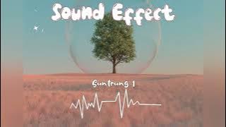 Sound Effect Suntrung 1 || 1D  Music Stereo