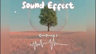 Sound Effect Suntrung 1 || 1D Official Music Stereo