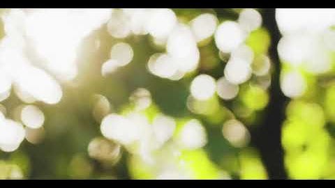 Garden and daylight blur Background Blur Bokeh Creative Video for Projects and Video Editing  8