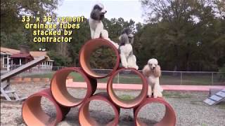 How We Built Our Dogs' Obstacle Course