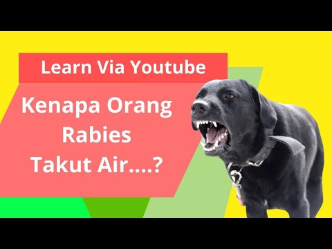 Kenapa Orang Rabies Takut Air - YouTube