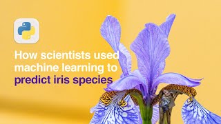 How Scientists Used Machine Learning to Predict the Species of Irises (A Tutorial)