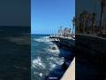 Kyrenia beauty 😍 #travel #travelvlog #2026 #cyprus #kyrenia #cyprusactivities #girne #travelphoto