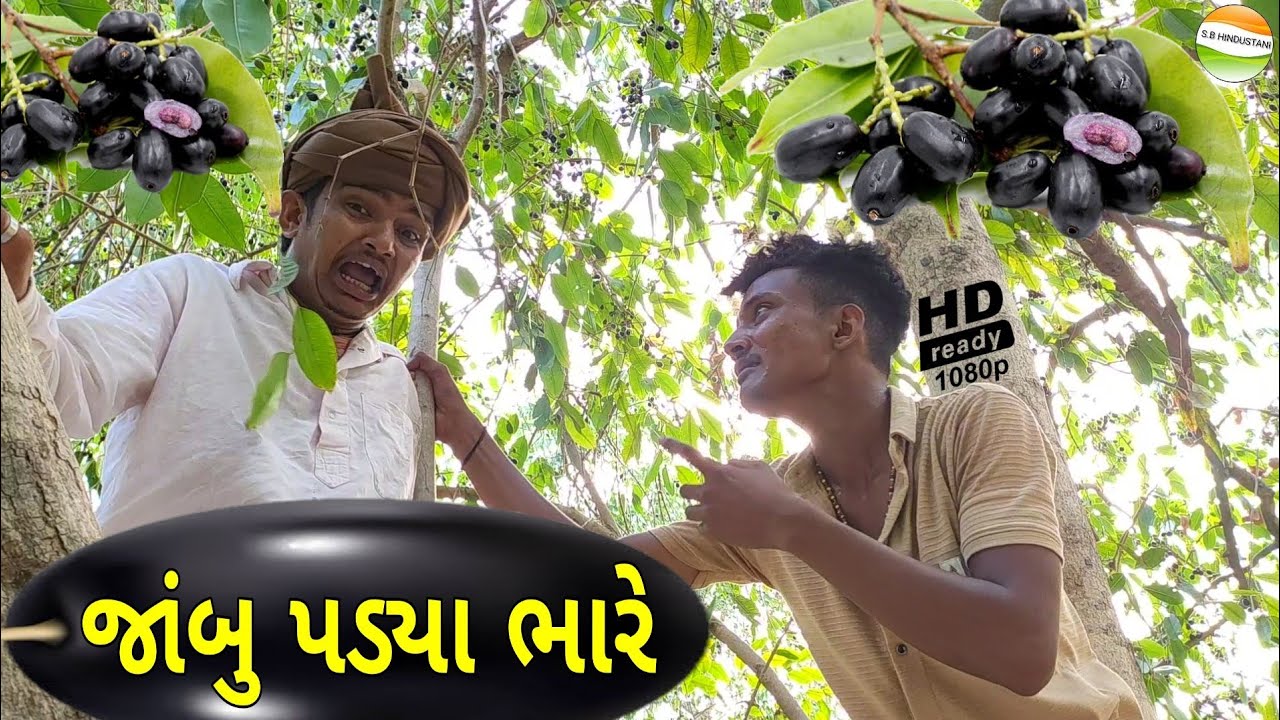 ફુમતાળજીને જાંબુ પડ્યા ભારે//GUJRATI COMEDY VIDEO//કોમેડી વિડીયો SB HINDUSTANI