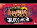 Enlouquecer Tribo Do Funk 2020 Lyric Video 