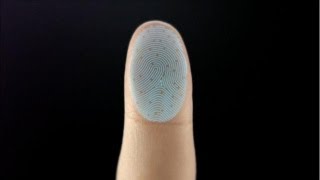 New Iphone Wont Store Fingerprints