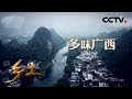 《乡土》 多味广西 走进广西的特色美食 20190704 | CCTV农业