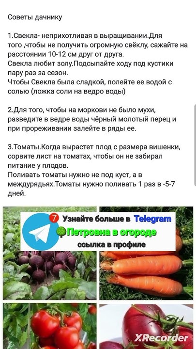 полезные советы дачнику по выращиванию культур - YouTube