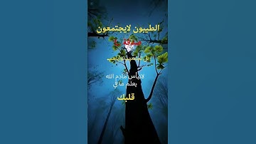 ان المسلمين والمسلمات والمؤمنين والمؤمنات # سورة الأحزاب الآية 35