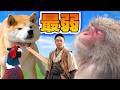桃太郎のお供が弱すぎるから最強の動物に入れ替えてみたww