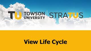 Stratus: View Life Cycle