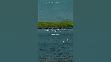 سورة الفلق بصوت الشيخ محمد الفقيه