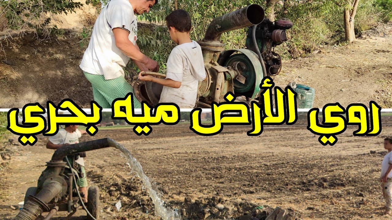 روحت الغيط مع عيد وحضر المكنة وسقي لأرض ميه بحري