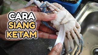 Cara Siang Ketam Untuk Pemula