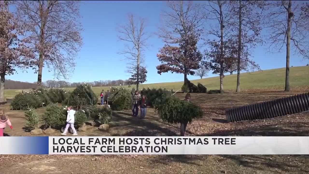 Local farm hosts Christmas Tree Harvest Celebration - YouTube