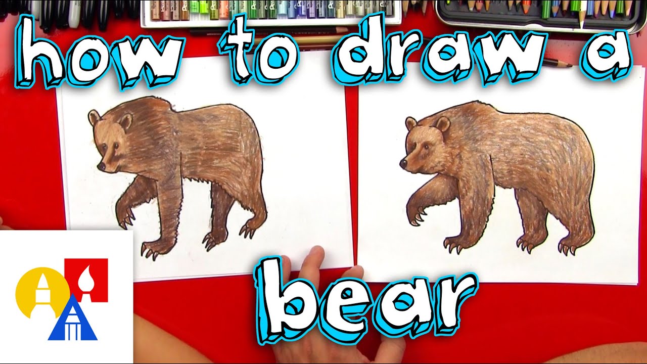 grizzly bear drawing step by step