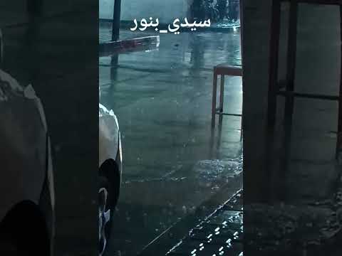 سيدي بنور دكالة شتاء مطر لجوء رائع شتاء سيدي بنور منظر جميل