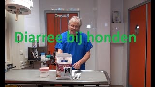 Download Lagu Diarree bij honden MP3
