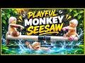 Oddly Satisfying Water Seesaw Live [31/05]