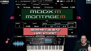 Discover how to load and play a sample in its entirety | MODX M & Montage M