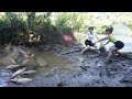 Harvesting Fish - Wild Fishing Catch A Lot Of Fish With A Large Pump Sucks Water/ Bushcraft Survival