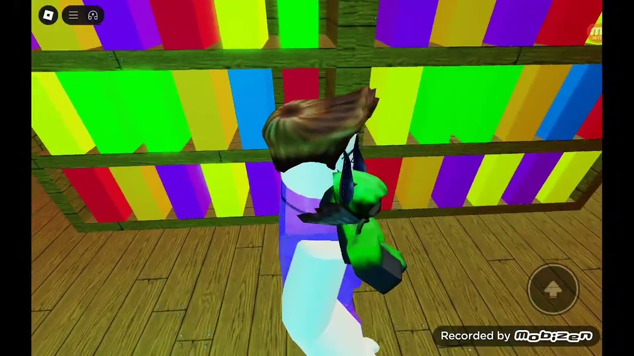 13 de fevereiro de 2025