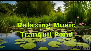 Relaxation & Stress Relief Music Meditation Melodies, Lofi, Jazz, Sleep Music - Tranquil Pond