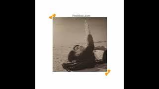 khaotungg- never too late (ost-55_15 never too late)