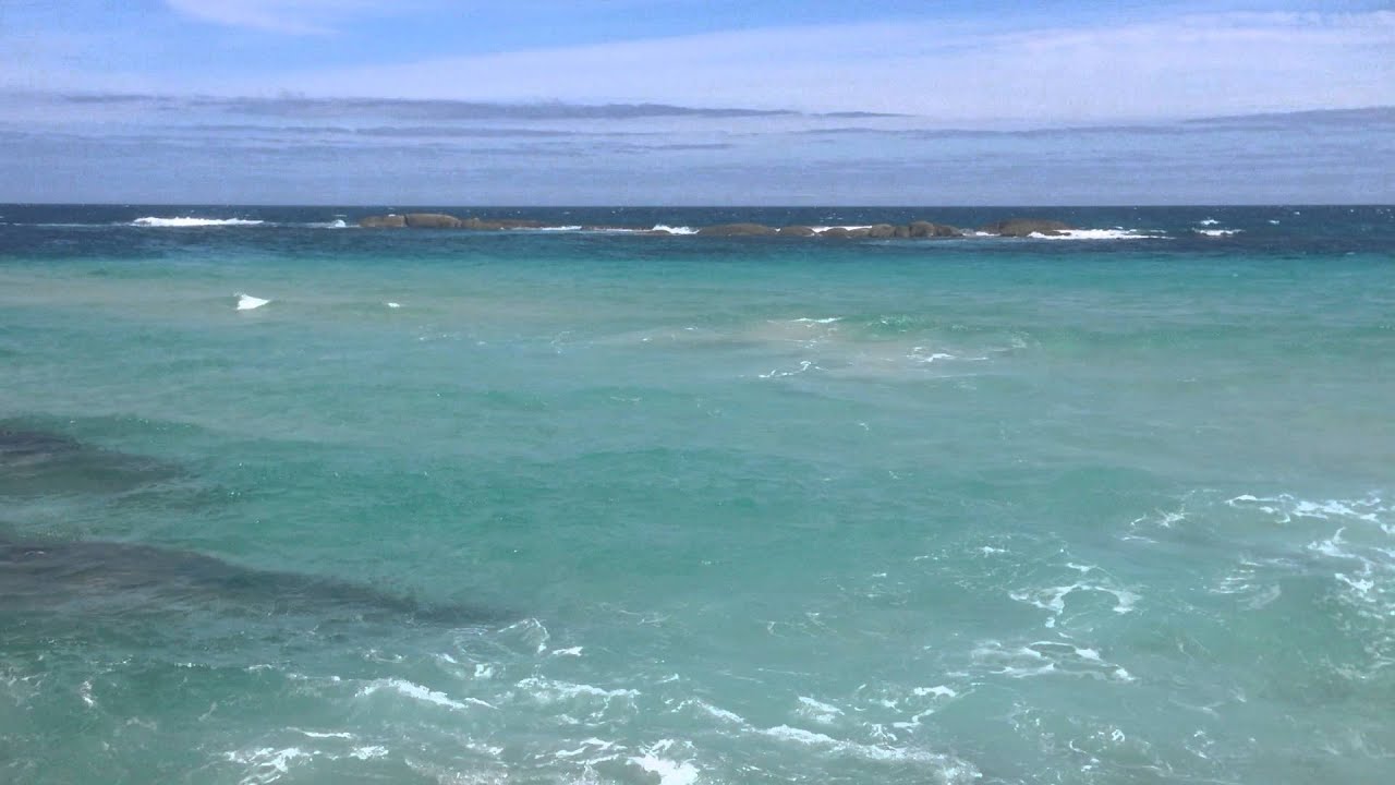 Broke Inlet Banksia Camp Shark - YouTube