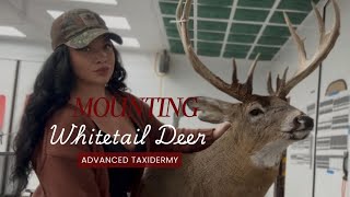 Day 37: TAXIDERMY | Mounting Whitetail Deer 