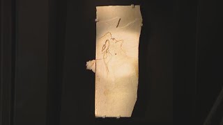 Field Museum acquires fossil of earliest known bird