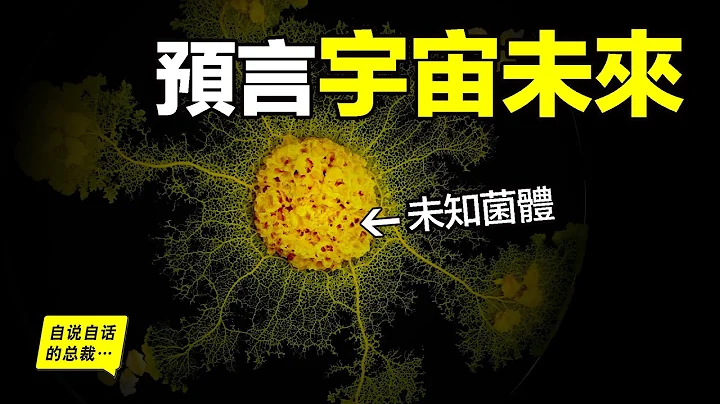 未知菌体：预言宇宙未来，为什么这个单细胞生物拥有智慧，结构像大脑和宇宙一样，当真是高维宇宙的投影？|自说自话的总裁 - 天天要闻
