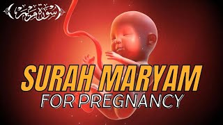 Surat Maryam Untuk Ibu Hamil || Surah For Pregnancy Beautiful Recitation For a Beautiful Baby