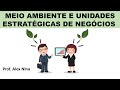 Interação Meio Ambiente e Unidade Estratégica de Negócios (Parte 2)
