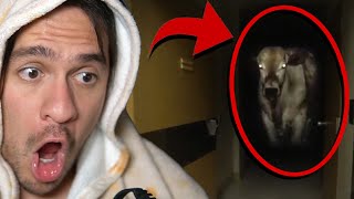 Happy Meat Farms Is Hiding Something Bad...